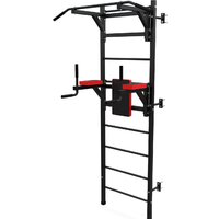 Шведская стенка (лестница) DFC D-123 — Chaika Market