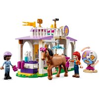 Конструктор LEGO Friends 41746 Тренировка лошадей - Изображение №3 — Chaika Market