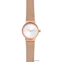 Наручные часы Skagen SKW2665 - Изображение №1 — Chaika Market