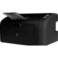 Принтер CACTUS CS-LP1120B — Chaika Market