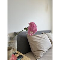 Постельное белье Царство сновидений Вареный хлопок Бежевый 150-0204 (дуэт, нав. 70x70) - Изображение №3 — Chaika Market