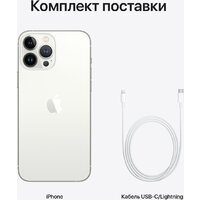 Смартфон Apple iPhone 13 Pro Max 256GB Восстановленный by Breezy, грейд B (серебристый) - Изображение №10 — Chaika Market