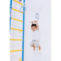 Детский спортивный комплекс Romana S7 01.31.7.06.410.05.00-68 (сиреневый/голубой) - Изображение №9 — Chaika Market