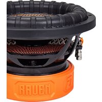Автомобильная акустика DL Audio Raven 10 V.2 - Изображение №4 — Chaika Market