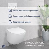 Унитаз подвесной Lauter Sulzdorf + TECE Kit 9400412 (белый с микролифтом) - Изображение №6 — Chaika Market