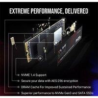 SSD PNY XLR8 CS3140 Heatsink 1TB M280CS3140-1TB-RB - Изображение №5 — Chaika Market