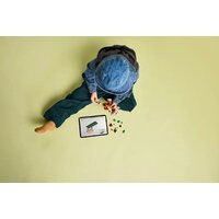 Конструктор LEGO Jurassic World Детёныш динозавра Долорес: Аквилопс 76970 - Изображение №11 — Chaika Market