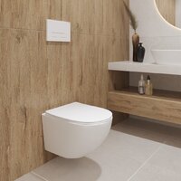 Унитаз подвесной Lauter Sulzdorf + TECE Kit 9400413 (белый с микролифтом) - Изображение №15 — Chaika Market