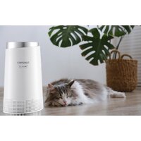 Очиститель воздуха Concept Perfect Air Smart CA1010 - Изображение №16 — Chaika Market