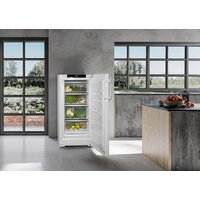 Однокамерный холодильник Liebherr RBa30 425i - Изображение №9 — Chaika Market