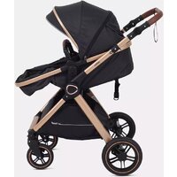 Универсальная коляска Rant Basic Roller Gold RA161 (2 в 1, black) - Изображение №25 — Chaika Market