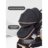 Универсальная коляска Rant Basic Roller Gold RA161 (2 в 1, black) - Изображение №5 — Chaika Market