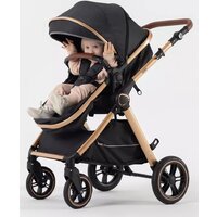 Универсальная коляска Rant Basic Roller Gold RA161 (2 в 1, black) - Изображение №36 — Chaika Market