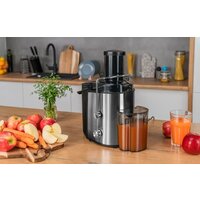 Соковыжималка Gotze & Jensen JM501X - Изображение №2 — Chaika Market