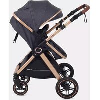Универсальная коляска Rant Basic Roller Gold RA161 (2 в 1, grey) - Изображение №24 — Chaika Market