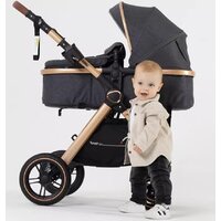 Универсальная коляска Rant Basic Roller Gold RA161 (2 в 1, grey) - Изображение №35 — Chaika Market