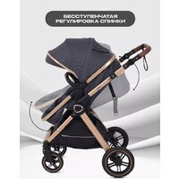 Универсальная коляска Rant Basic Roller Gold RA161 (2 в 1, grey) - Изображение №7 — Chaika Market