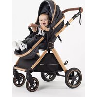 Универсальная коляска Rant Basic Roller Gold RA161 (2 в 1, grey) - Изображение №36 — Chaika Market