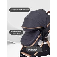 Универсальная коляска Rant Basic Roller Gold RA161 (2 в 1, grey) - Изображение №5 — Chaika Market