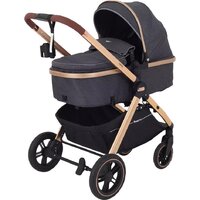 Универсальная коляска Rant Basic Roller Gold RA161 (2 в 1, grey) — Chaika Market