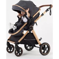 Универсальная коляска Rant Basic Roller Gold RA161 (2 в 1, grey) - Изображение №37 — Chaika Market