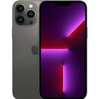 Смартфон Apple iPhone 13 Pro Max 256GB Восстановленный by Breezy, грейд B (графитовый) — Chaika Market