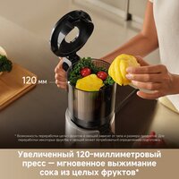Соковыжималка Trouver Slow Juicer SJ10 - Изображение №11 — Chaika Market