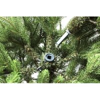 Ель National Tree Company Графская премиум ГРАФ/ПР-210 2.1 м - Изображение №2 — Chaika Market