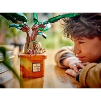 Конструктор LEGO Harry Potter 76433 Мандрагора - Изображение №8 — Chaika Market