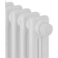 Стальной трубчатый радиатор Royal Thermo Insignia VC2050 - 12 секций RAL9016 - Изображение №3 — Chaika Market