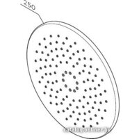 Верхний душ AM.PM F0580000 - Изображение №2 — Chaika Market