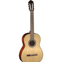 Акустическая гитара Cort AC100 SG — Chaika Market