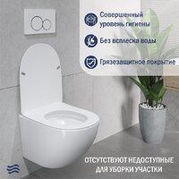 Унитаз подвесной Lauter Sulzdorf + GROHE Rapid SL 38721001 (белый с микролифтом) - Изображение №5 — Chaika Market