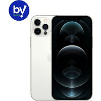 Смартфон Apple iPhone 12 Pro 256GB Восстановленный by Breezy, грейд B (серебристый) — Chaika Market